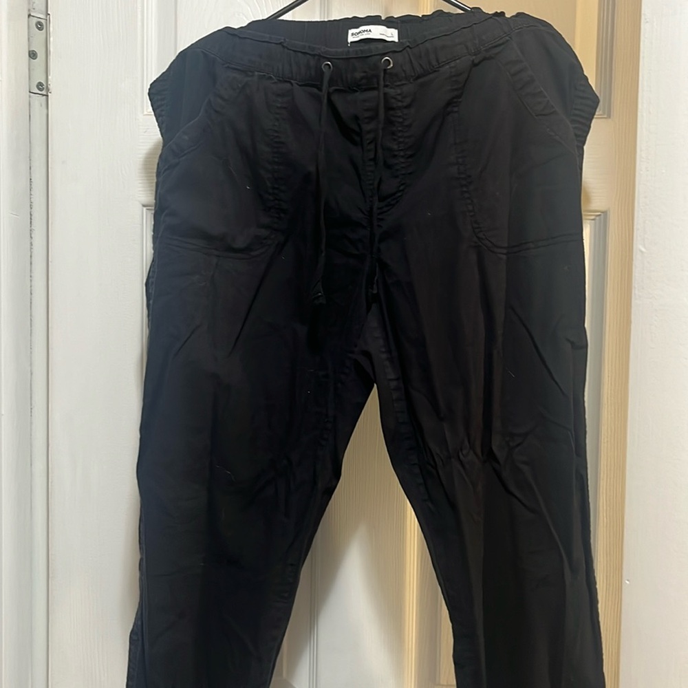 2 for 1- Women’s Sonoma cargo pants